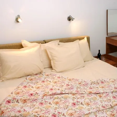 Hotel Top Sveti Vlas